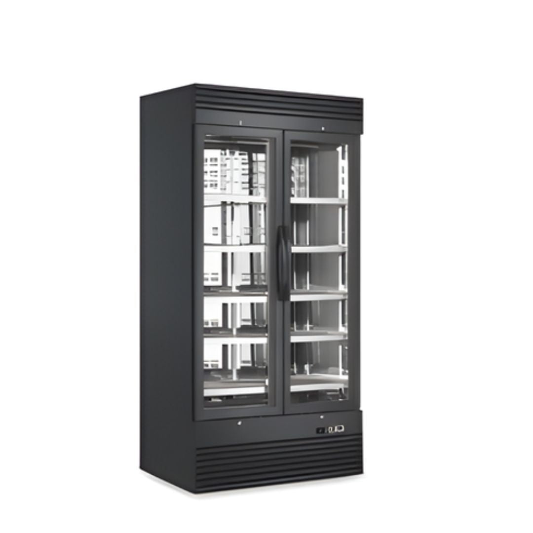 Sofia 2 Door Dry Ager (SOFDA-2)
